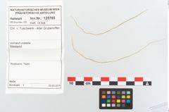 Foto von Textil (NHMW-PRAE-125785)